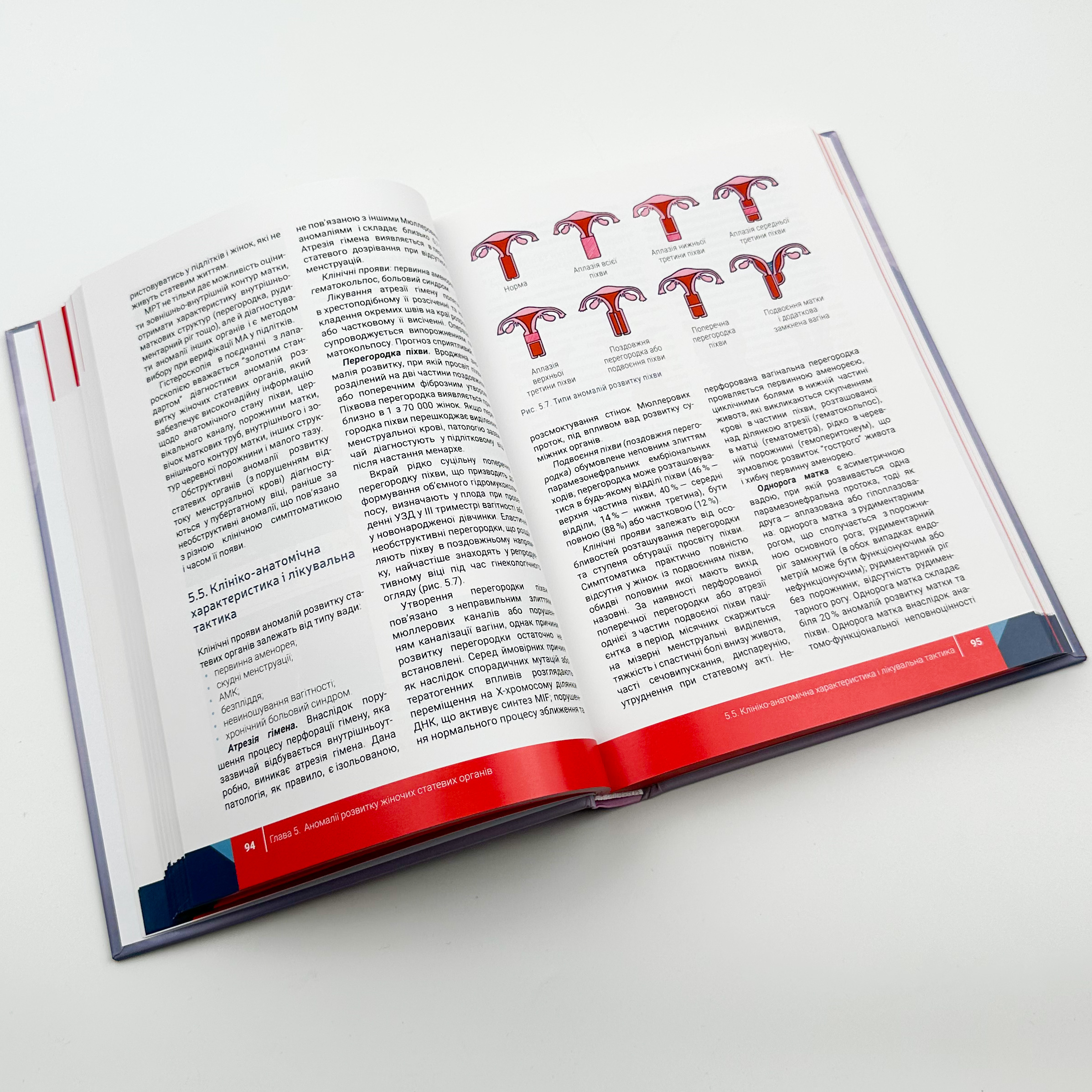 Гінекологія. Автор — Пирогова В.І.. 