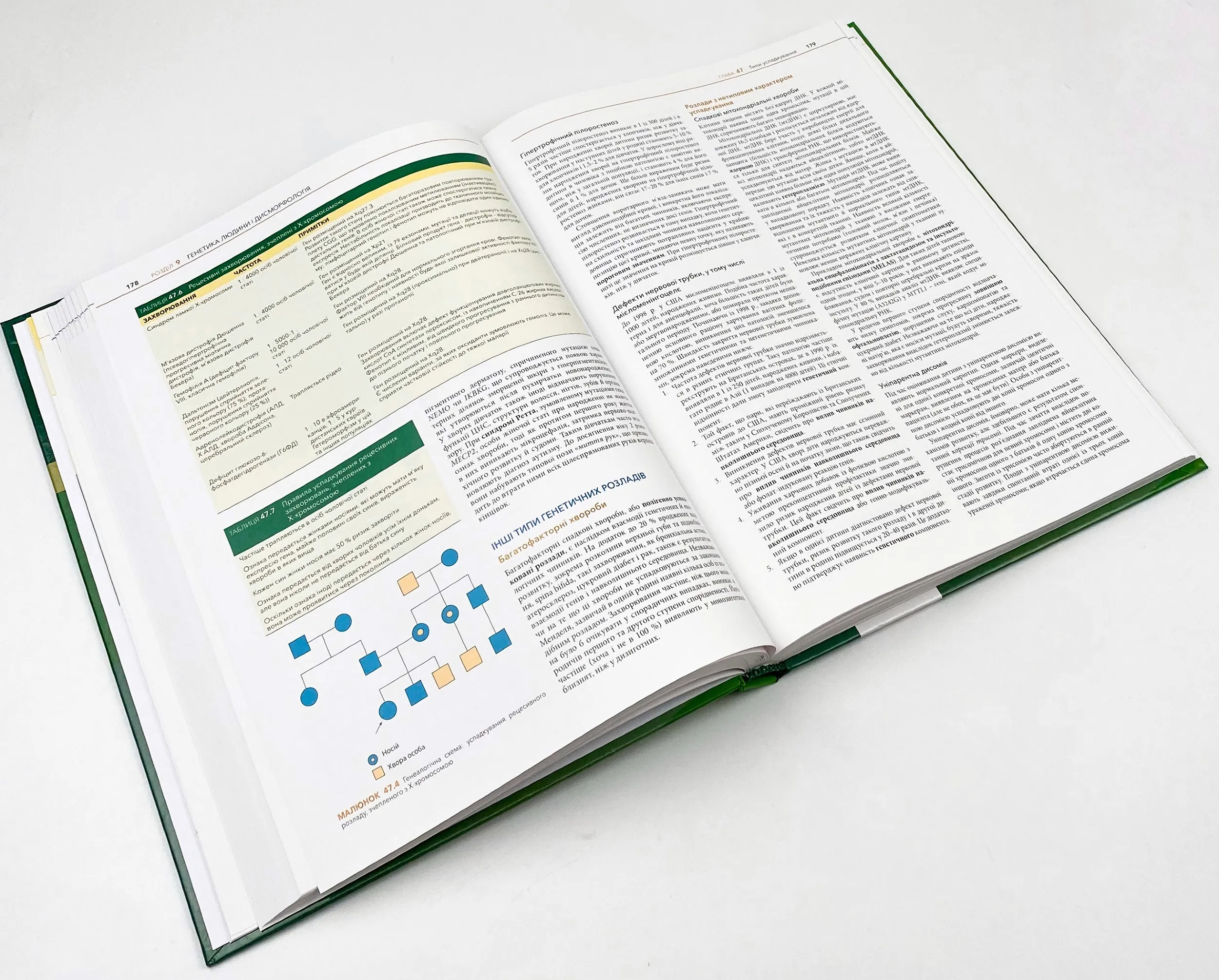 Основи педіатрії за Нельсоном: у 2 томах. Том 1. Автор — Карен Дж Маркданте, Роберт М Клігман. 