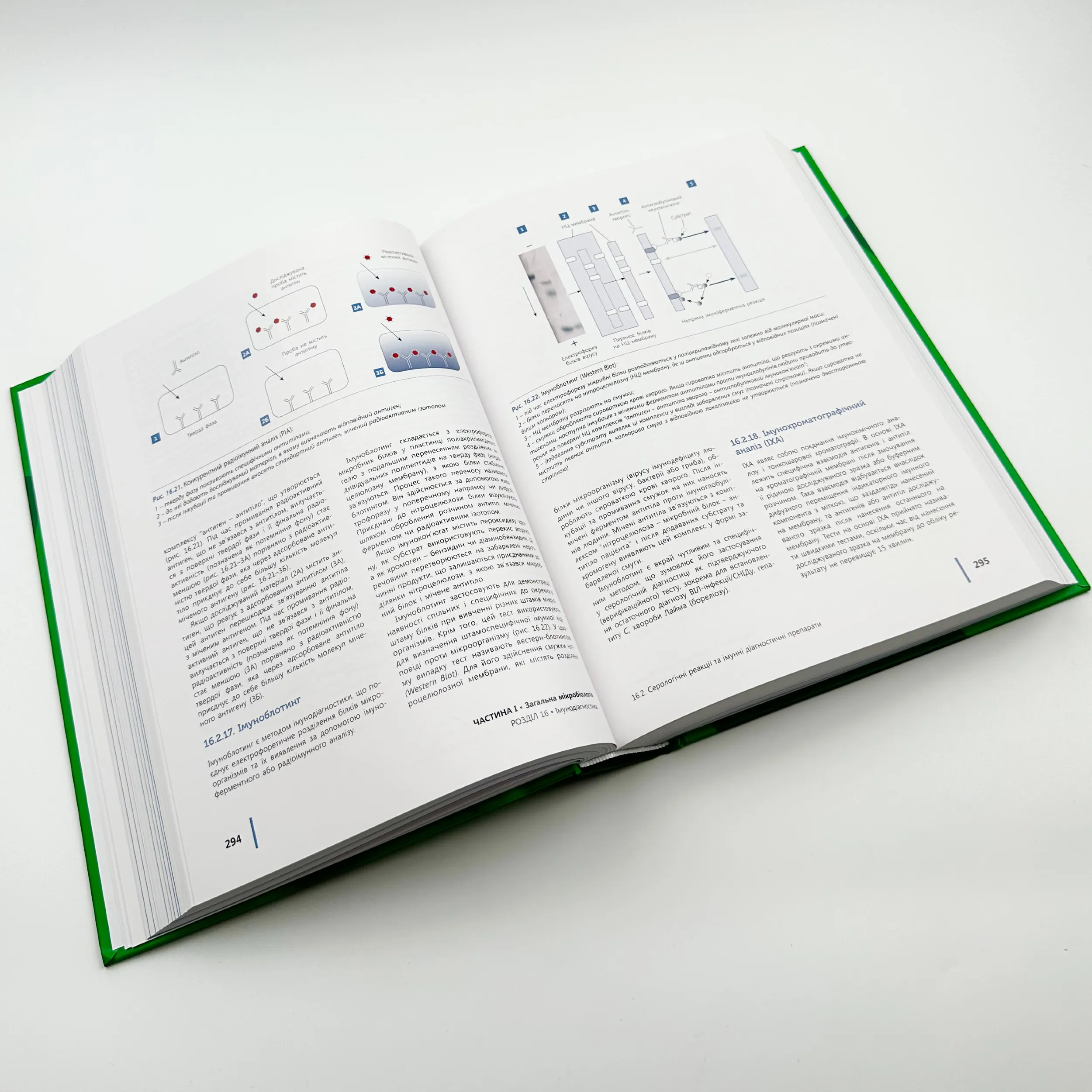 Медична мікробіологія, вірусологія та імунологія . Автор — Ширусів В. П.. 