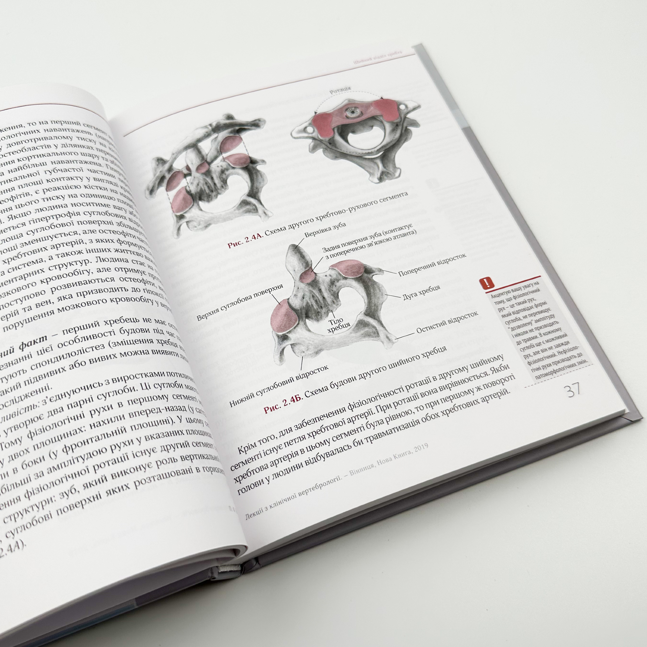 Лекції з клінічної вертебрології. Автор — Колісник П.Ф.. 