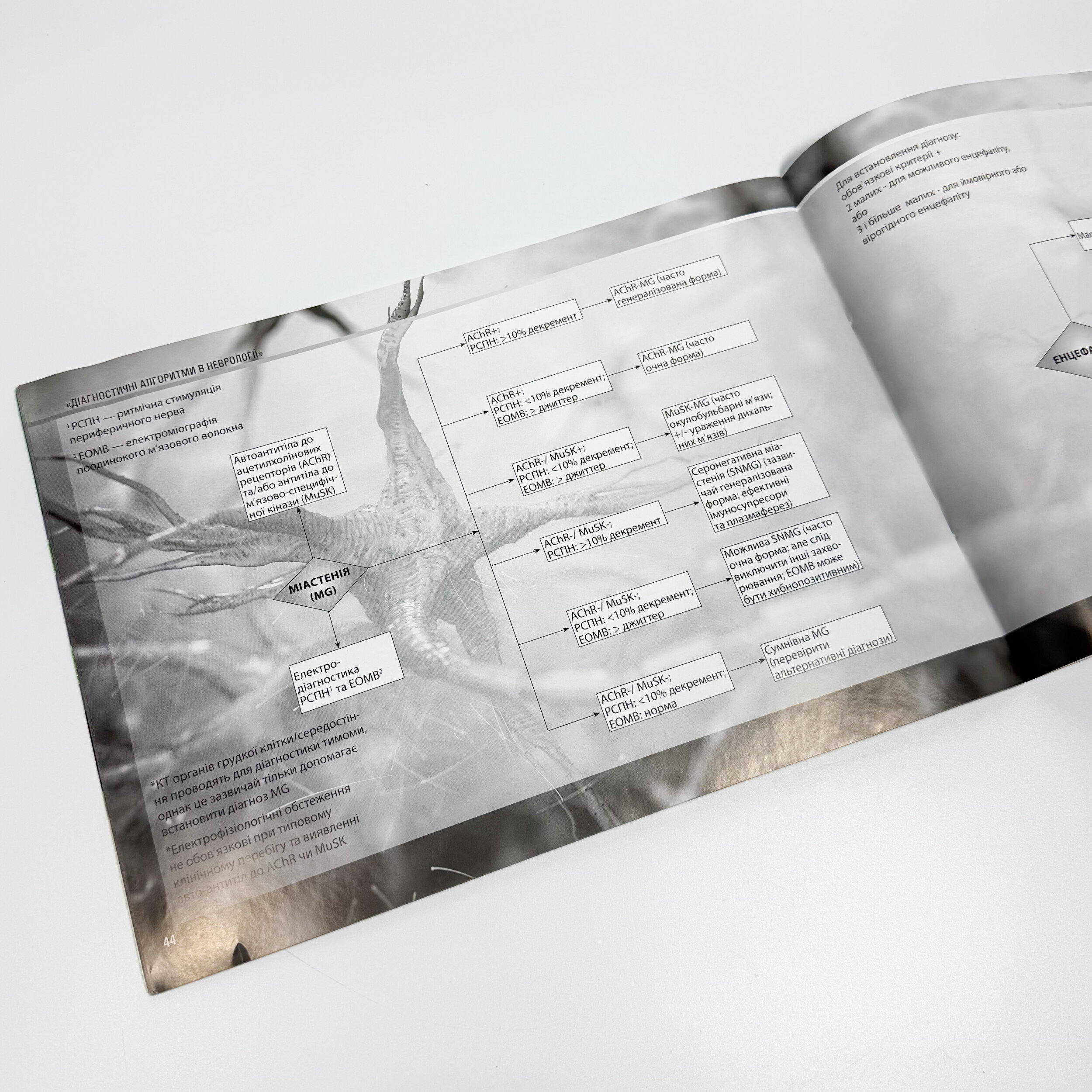 Діагностичні алгоритми в неврології . Автор — Наталия Яворская, Вікторія Гриб, Смлевська Валерія, Геник Софія. 