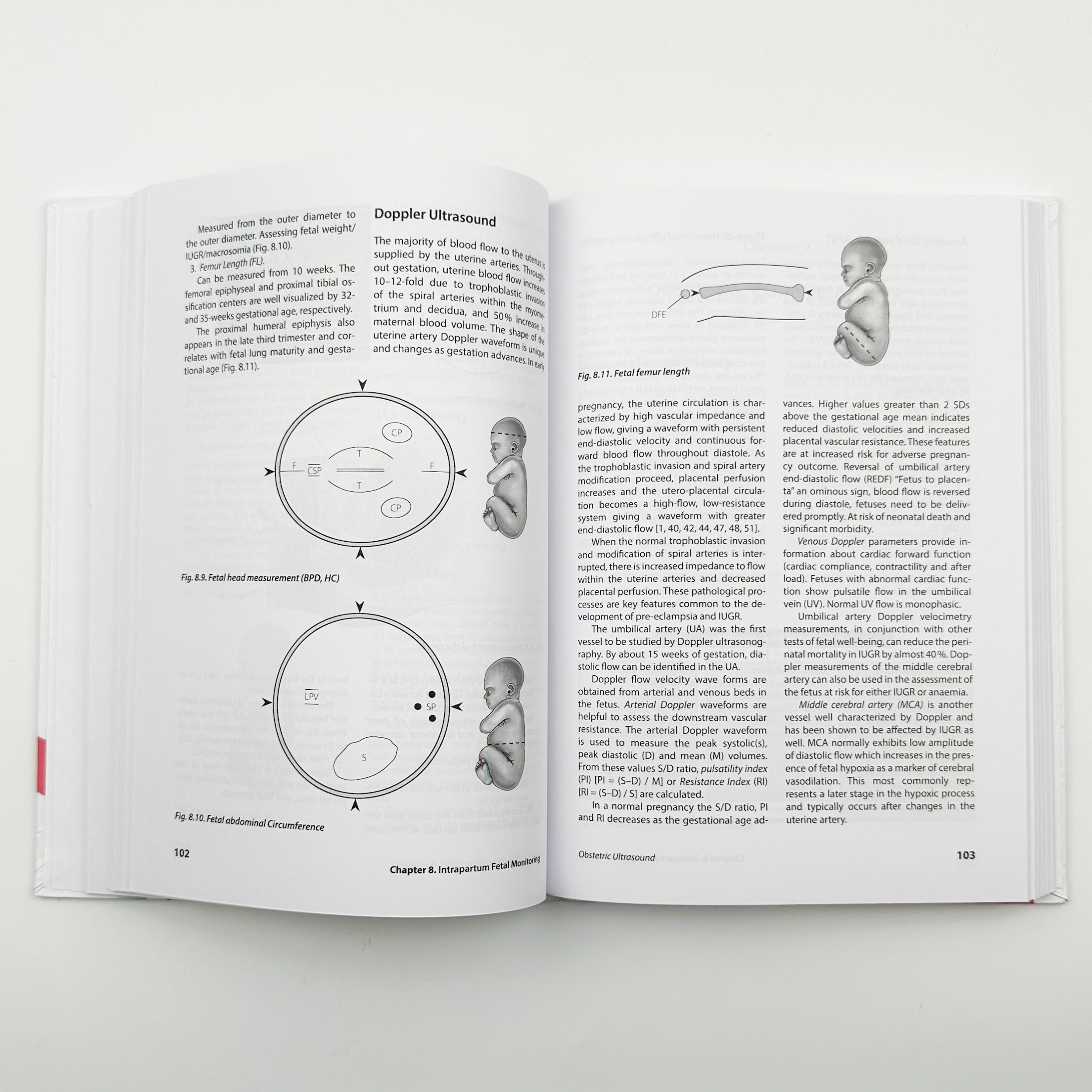 Obstetrics . Автор — Гладчук І.З.. 