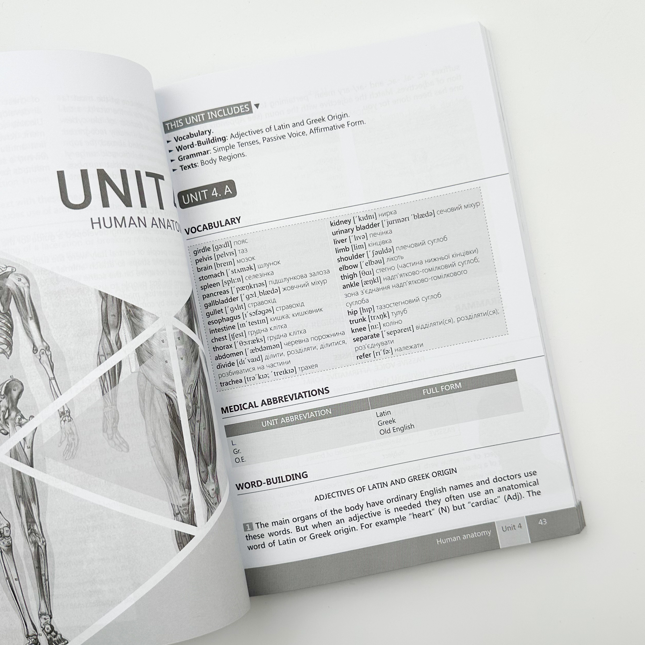 Medical English. Student's Book