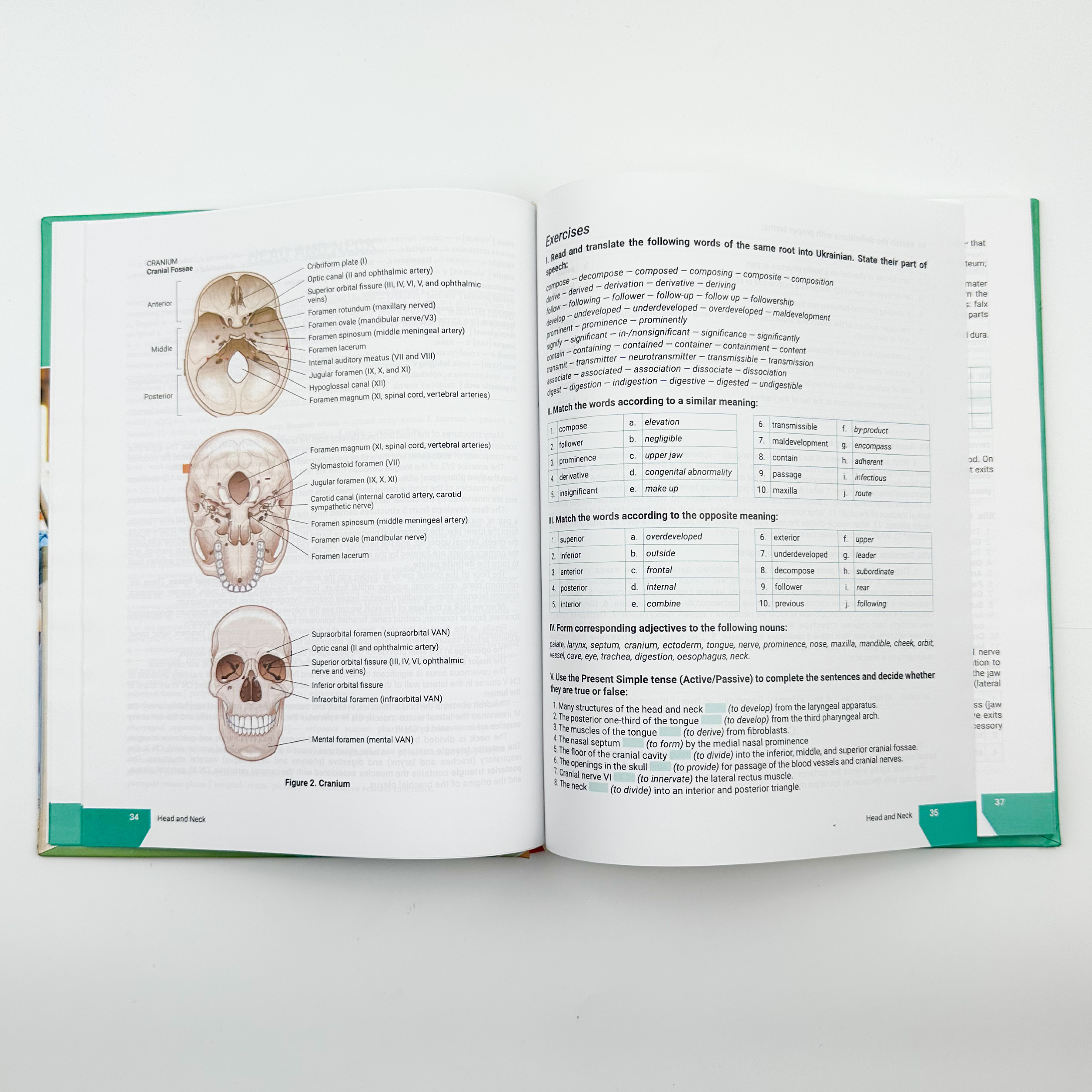 First Step into Medical English . Автор — Содомора П. А.. 