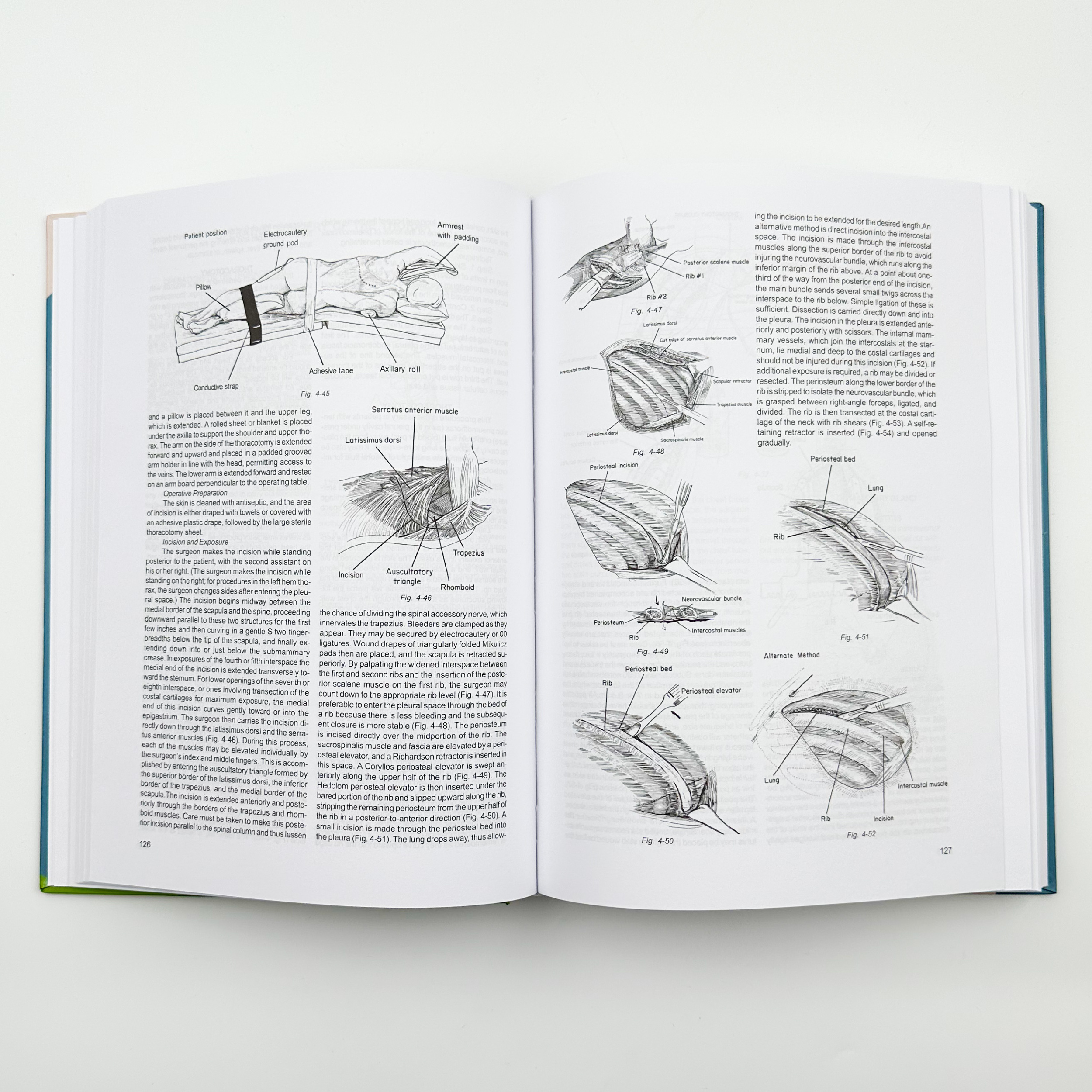 Clinical Anatomy and Operative Surgery . . 