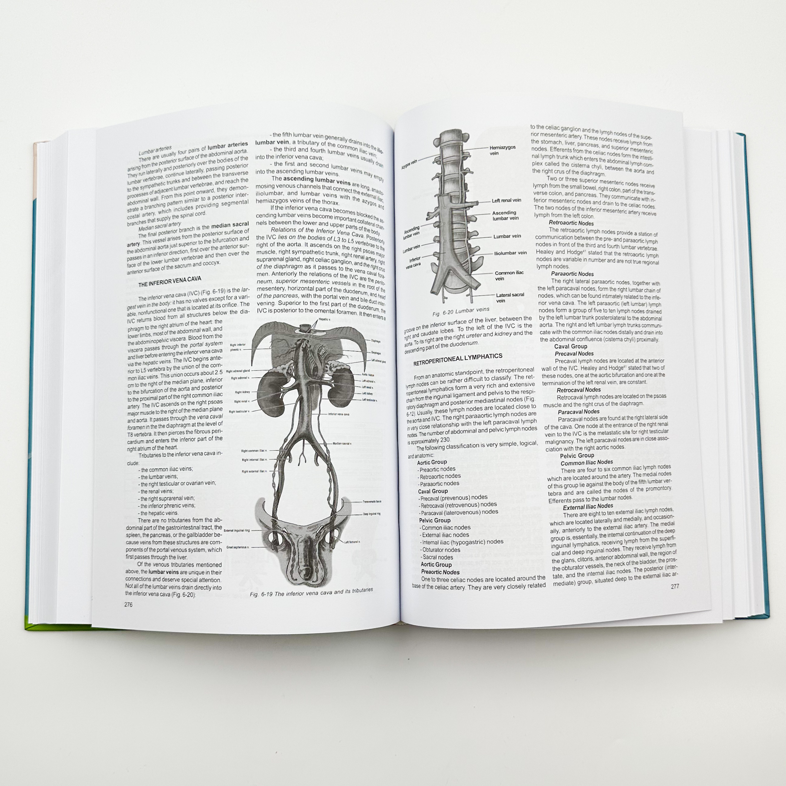 Topographical Anatomy and Operative Surgery . . 