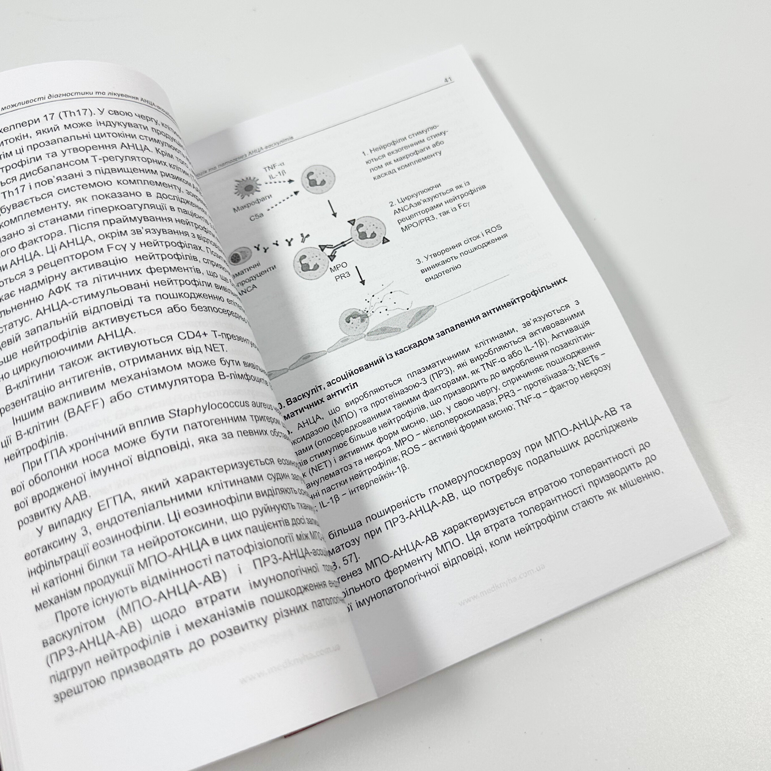 Сучасні можливості діагностики та лікування АНЦА-асоційованих васкулітів у клінічній практиці. Автор — Гуцаленко Л.В., Катеренчук І.П., Ткаченко Л.А., Ярмола Т.І.. 