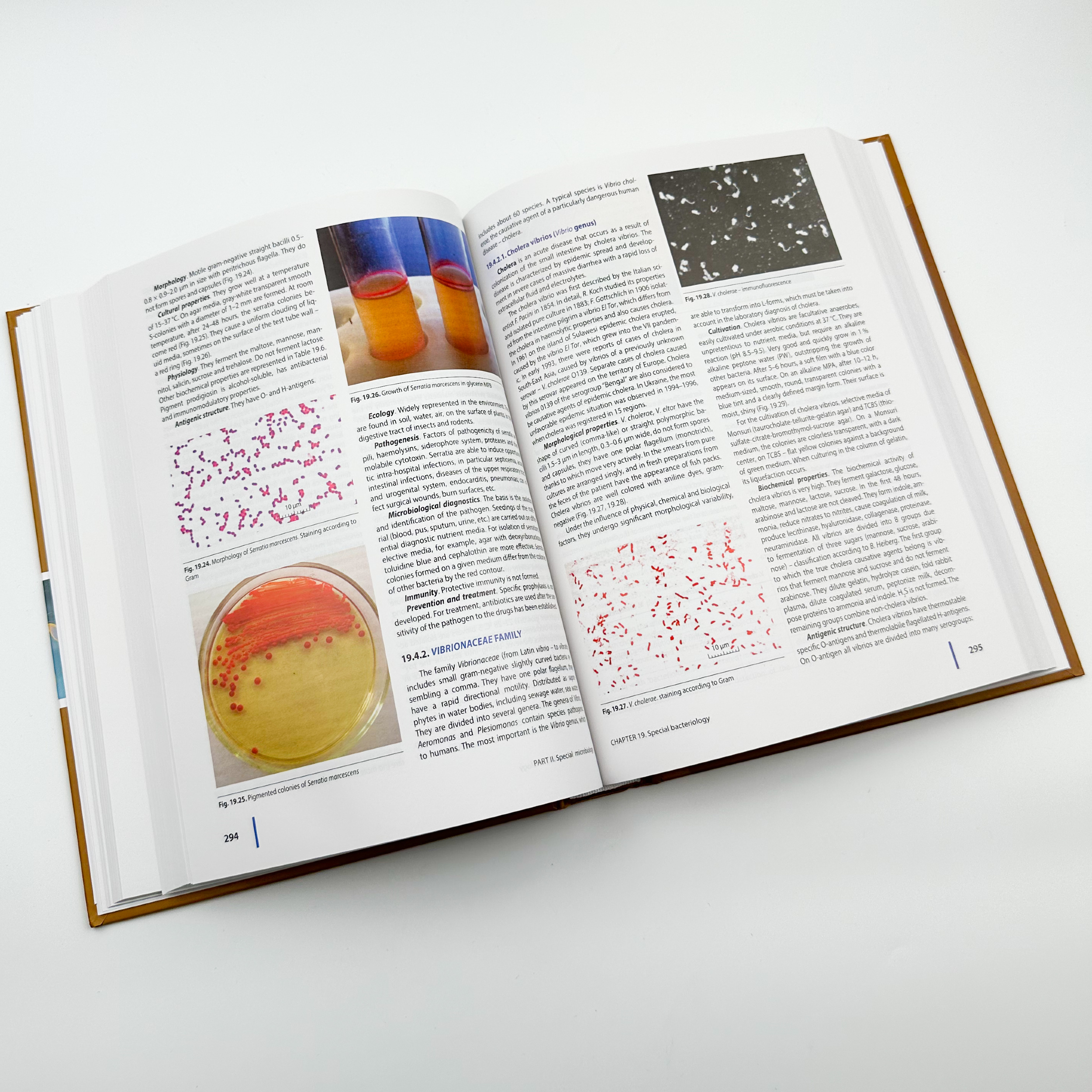 Medical Microbiology, Virology and Immunology. . 