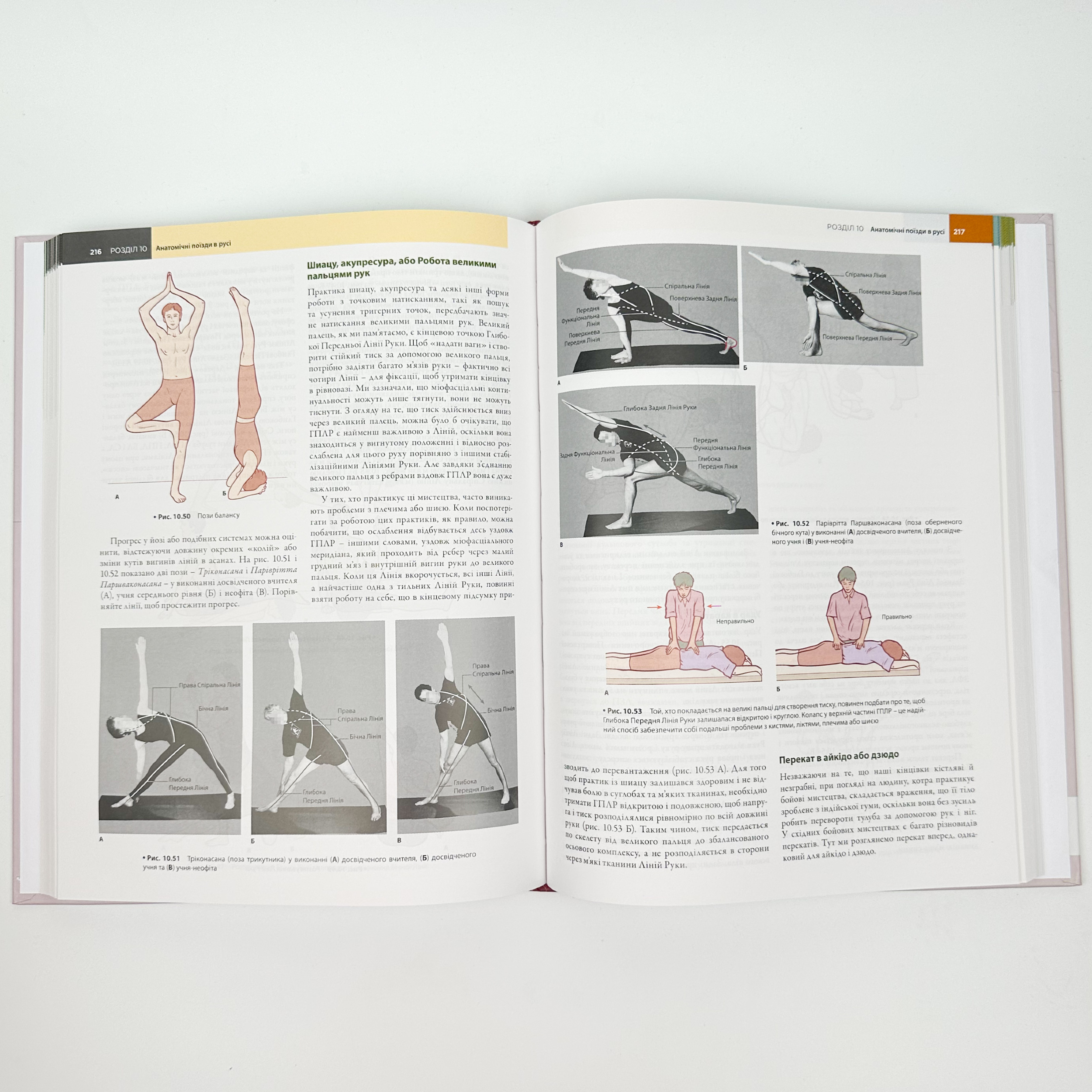 Анатомічні поїзди: міофасціальні меридіани для мануальних терапевтів і фахівців із відновлення руху: 4-е видання. Автор — Томас В Маєрс. 