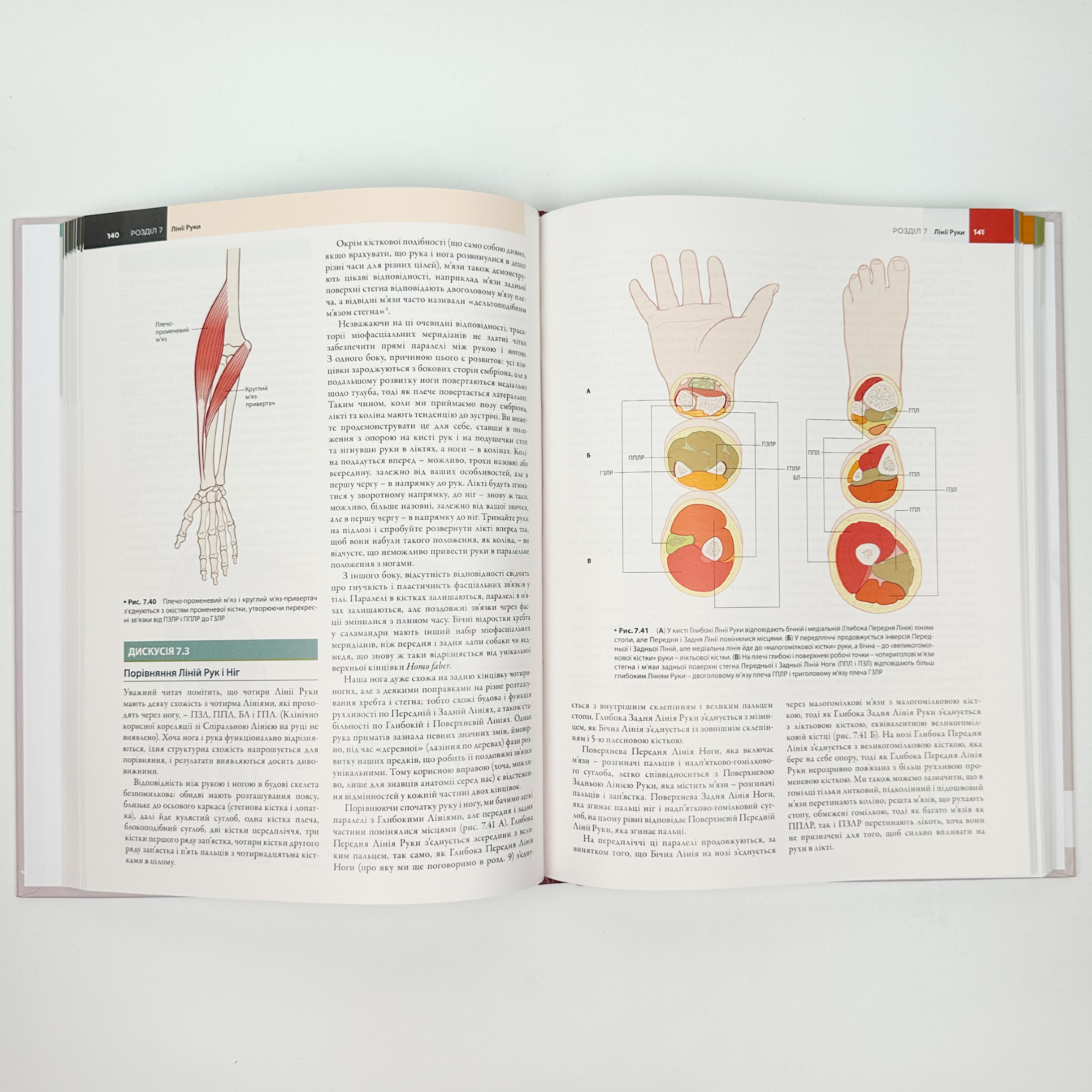 Анатомічні поїзди: міофасціальні меридіани для мануальних терапевтів і фахівців із відновлення руху: 4-е видання. Автор — Томас В Маєрс. 