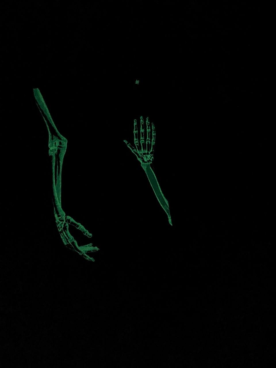 Закарбовано на кістках. Таємниці, які ми залишаємо після себе. Автор — Сью Блэк. 